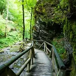 Moselburgblick Lejlighed