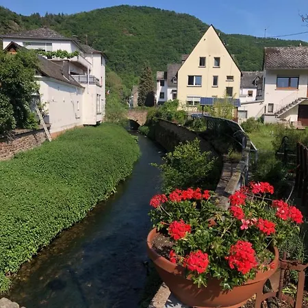 Moselburgblick Lejlighed