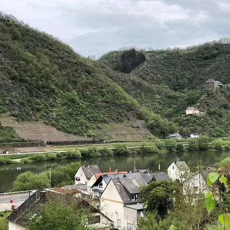 Moselburgblick