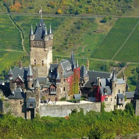 Moselburgblick * Burgen (Mayen-Koblenz)