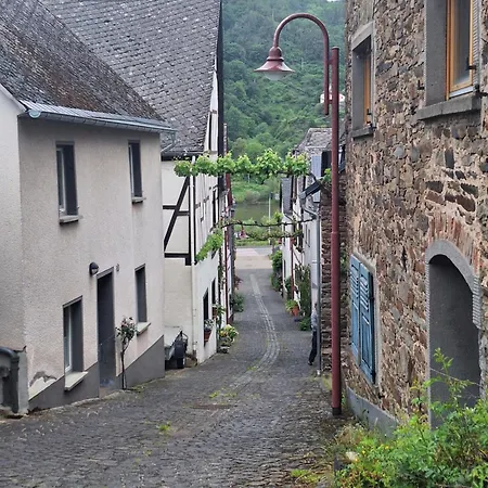 Moselburgblick * Burgen (Mayen-Koblenz)