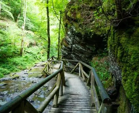 Moselburgblick Apartamento