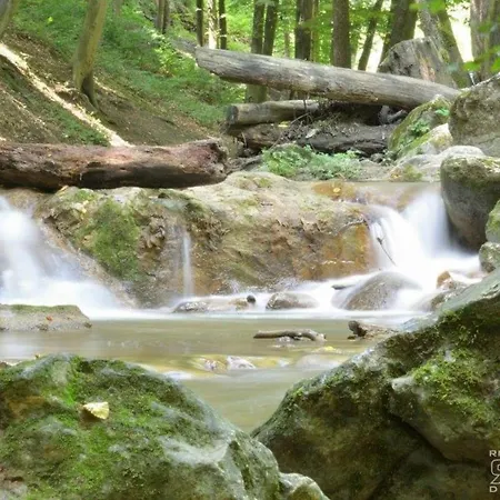 Appartement Moselburgblick