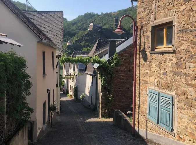 아파트 Moselburgblick