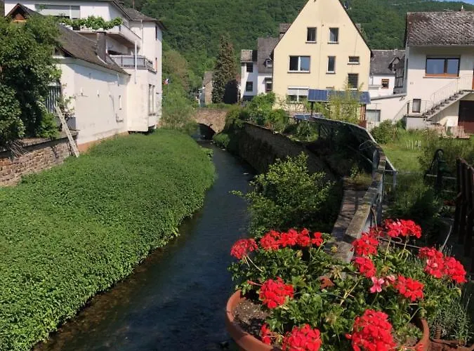 Moselburgblick Apartamento