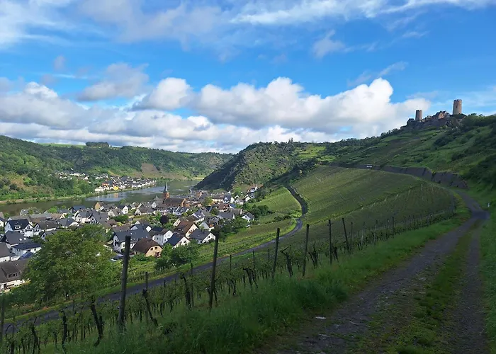 Moselburgblick Apartamento