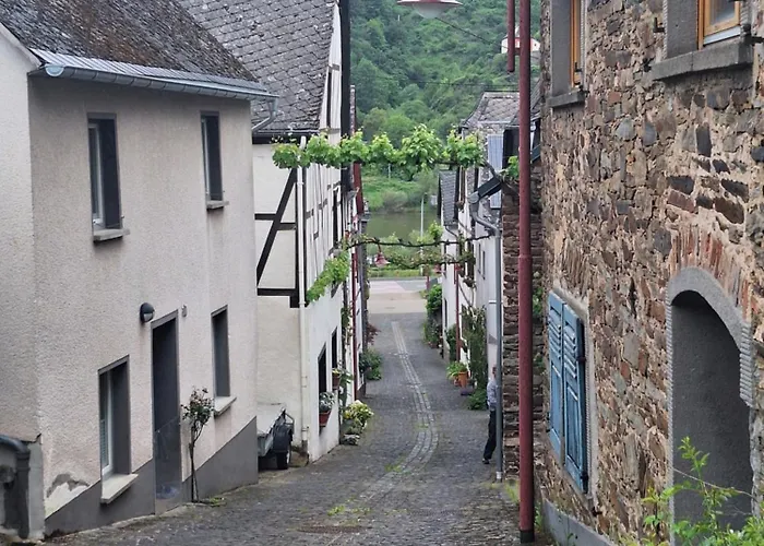 Moselburgblick * Burgen (Mayen-Koblenz)