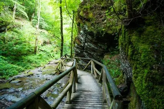 Moselburgblick 아파트