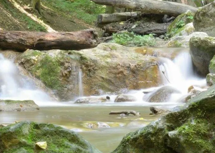 아파트 Moselburgblick